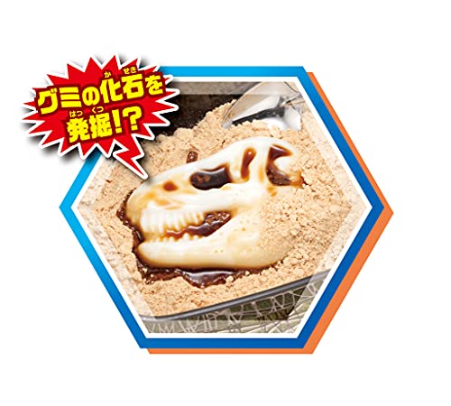 グミップルラボ 研究発表DX 8