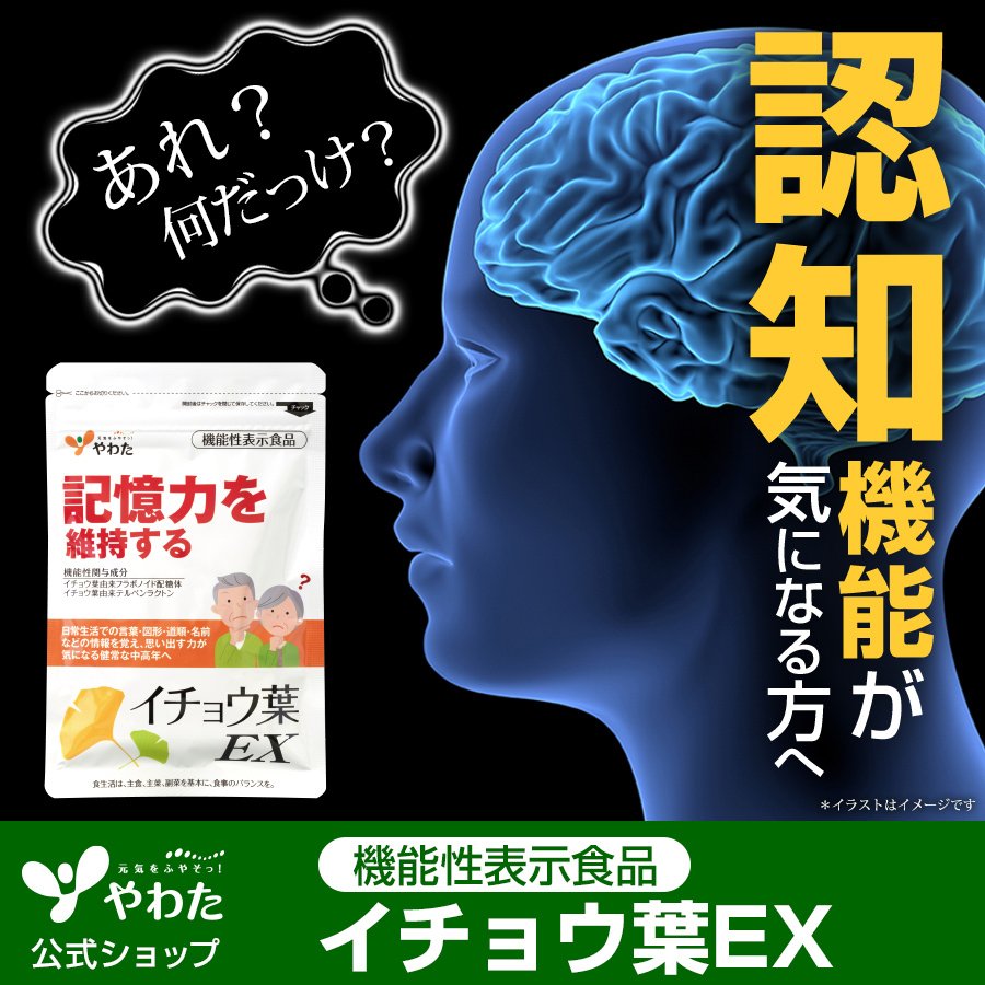 適当な価格 イチョウ葉 90日分 サプリメント サプリ イチョウ葉エキス イチョウの葉 健康食品 女性 男性 栄養サプリ ヘルスケア ファンケル Fancl 公式 Dprd Jatimprov Go Id