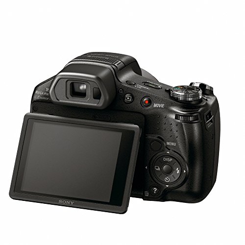 DSC-HX100V 4