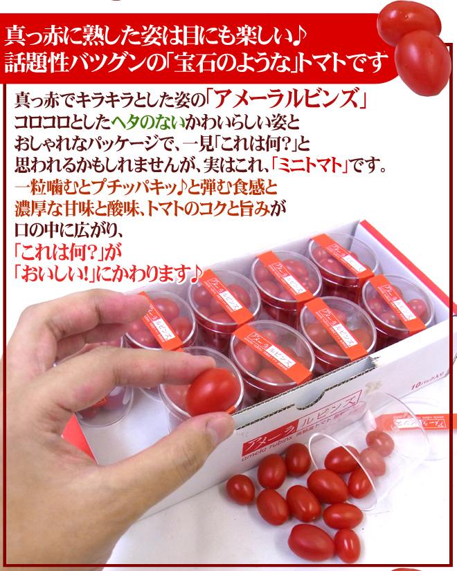 アメーラルビンズ 2