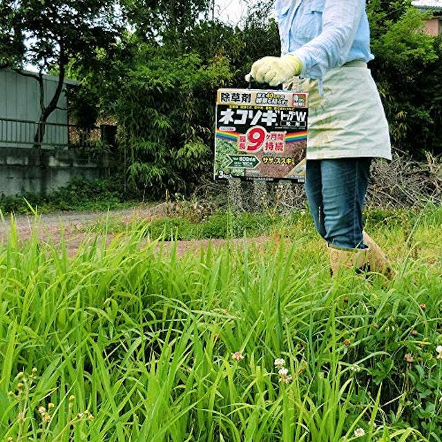 除草剤のおすすめ人気ランキング10選 Mybest 除草剤のおすすめ人気ランキング10選 Mybest