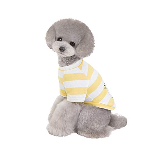 犬服 Tシャツ 3