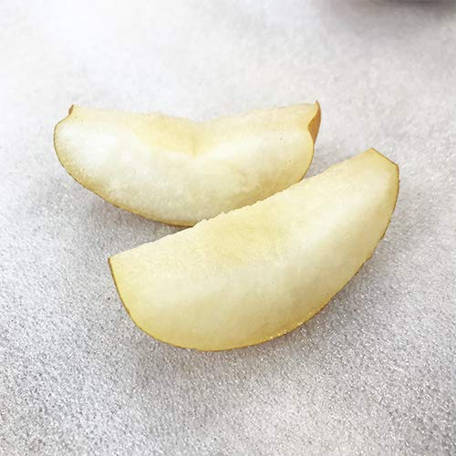 21年 通販で買える梨のおすすめ人気ランキング10選 Mybest