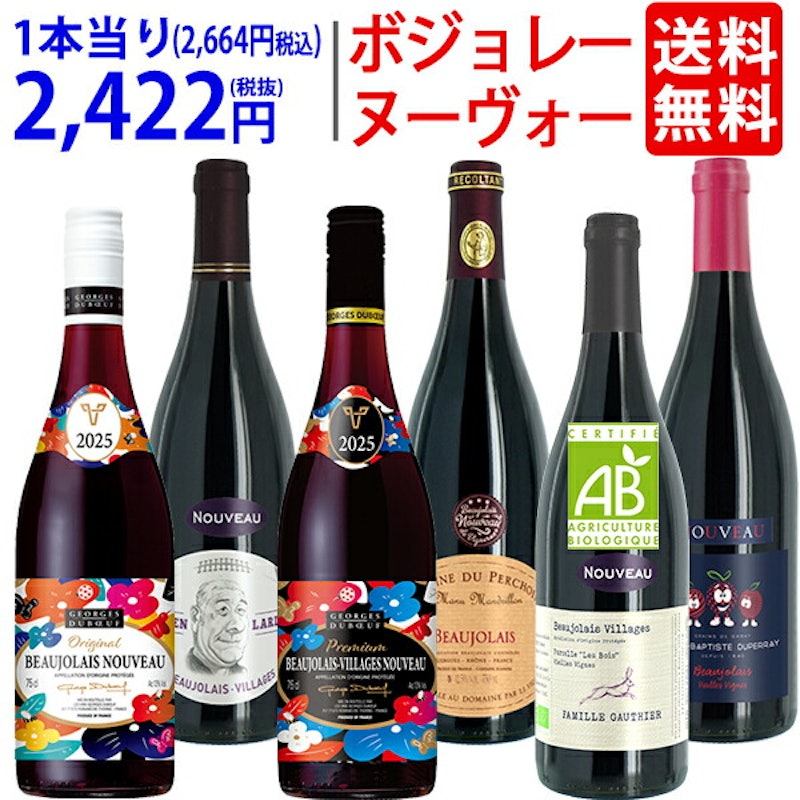 2025 ボジョレー ヌーヴォー 6本ワインセット 1
