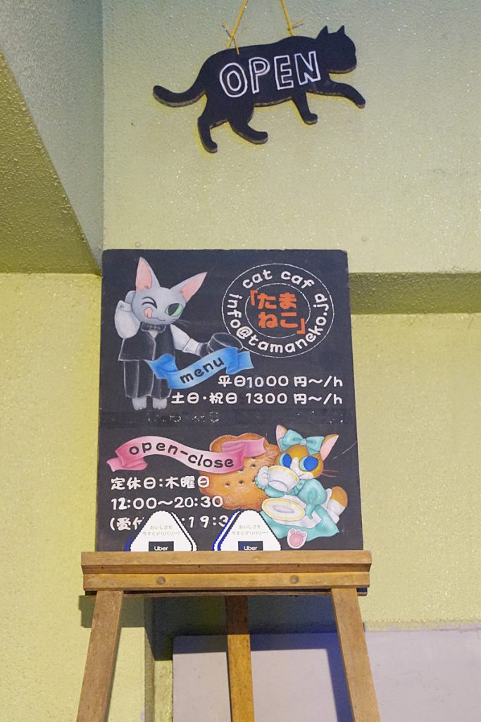 22年 猫カフェのおすすめ人気ランキング12選 Mybest