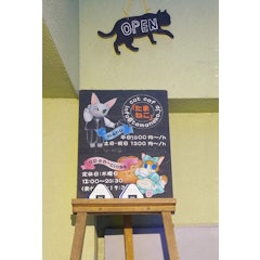 22年 猫カフェのおすすめ人気ランキング12選 Mybest 22年 猫カフェのおすすめ人気ランキング12選 Mybest