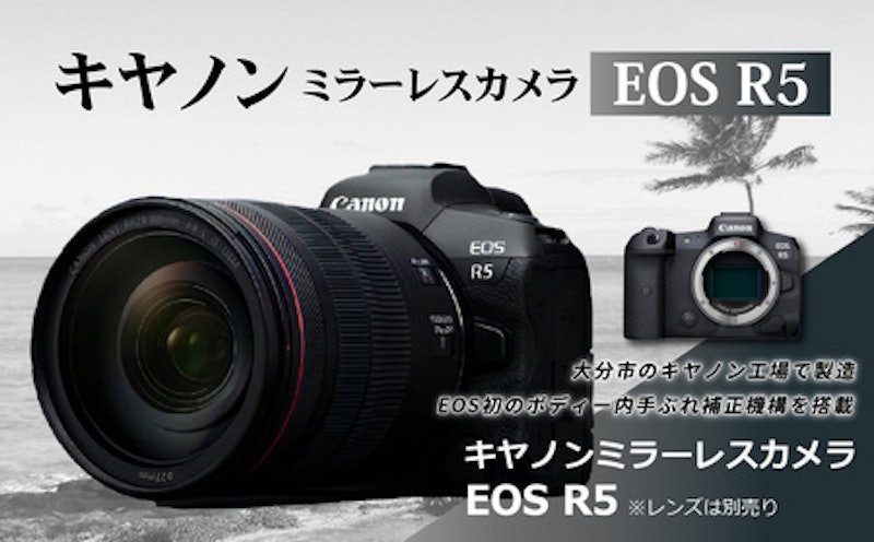 キヤノンミラーレスカメラ EOS R5 2