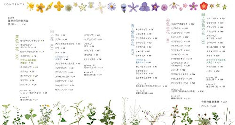 もっと美しき小さな雑草の花図鑑 12