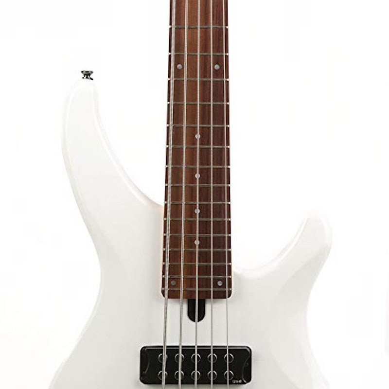 TRBX305 6