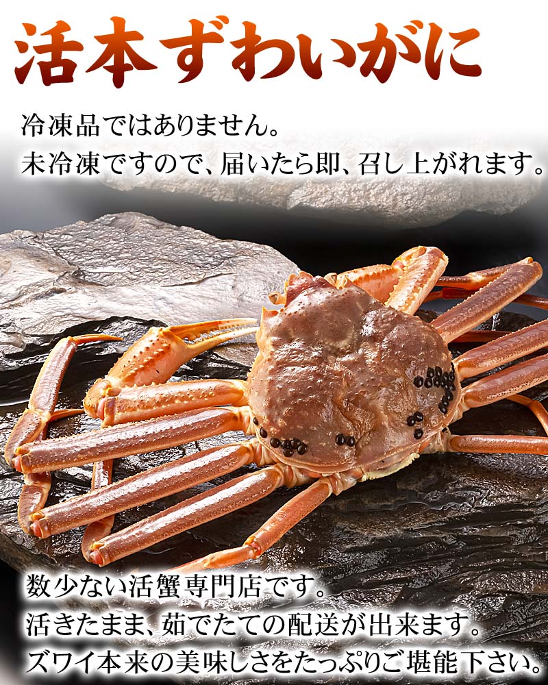 活本ずわいがに 3