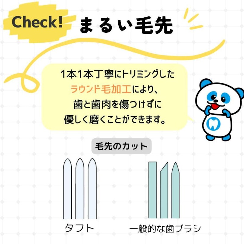 タフト24 2
