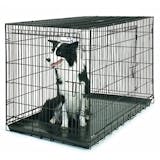 室内用犬小屋のおすすめ人気ランキング【おしゃれなものも!2026年7月】 3