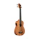 KALA U・Bass ウクレレベース Nomad 1