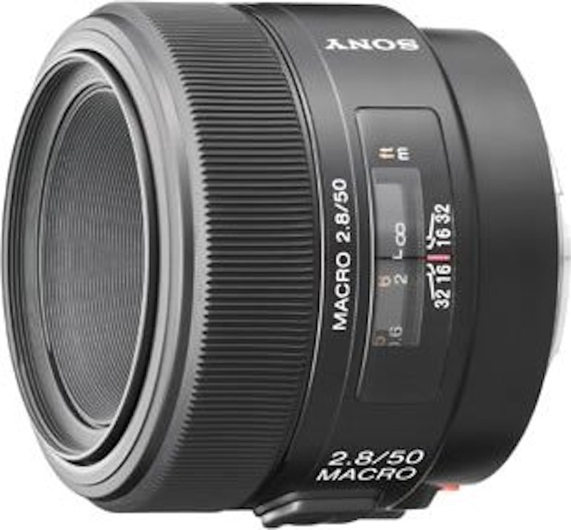 50mm F2.8 Macro 1