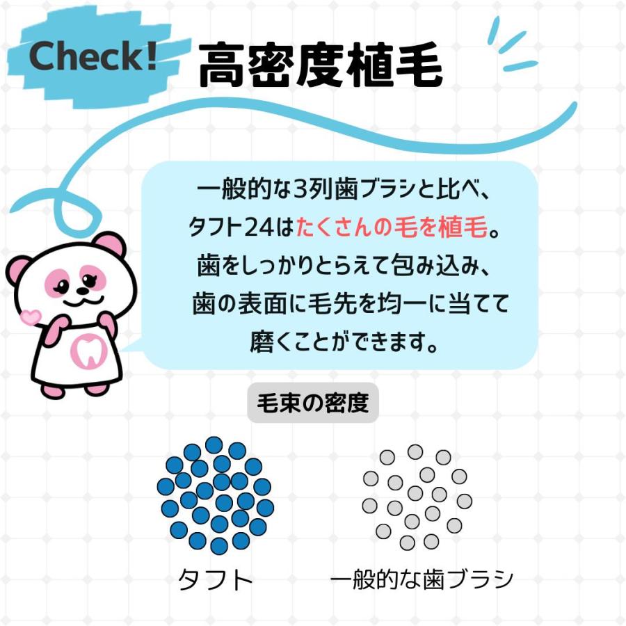 タフト24 3