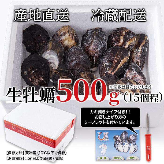 殻付き生牡蠣 ひがた美人 4
