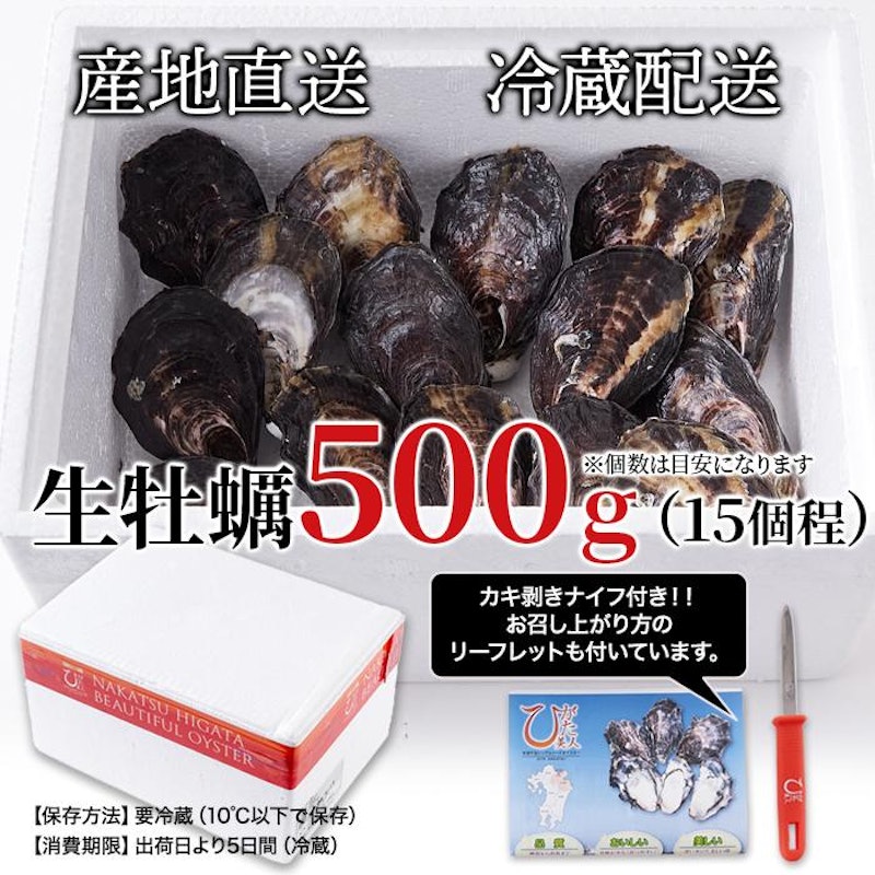 殻付き生牡蠣 ひがた美人 4
