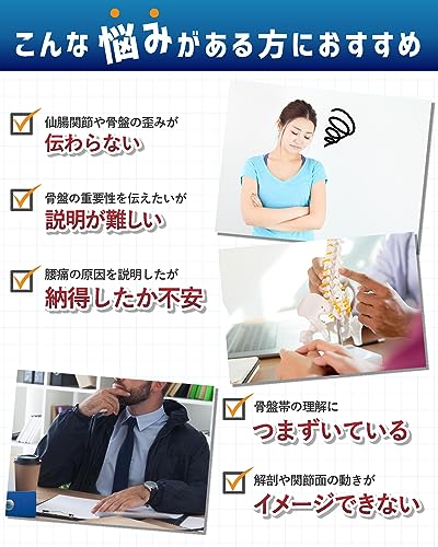 グイッと動かせる大腿骨付き骨盤模型 3