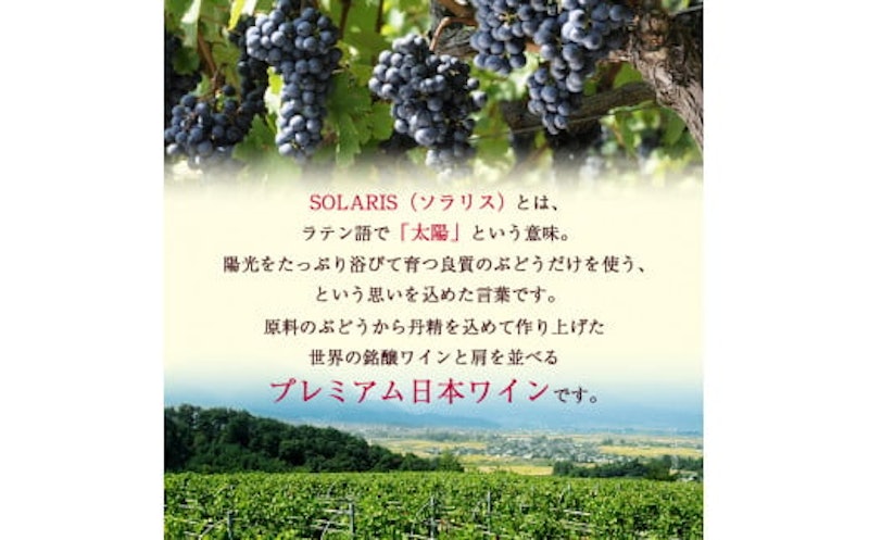 ソラリス ラ・クロワ 4