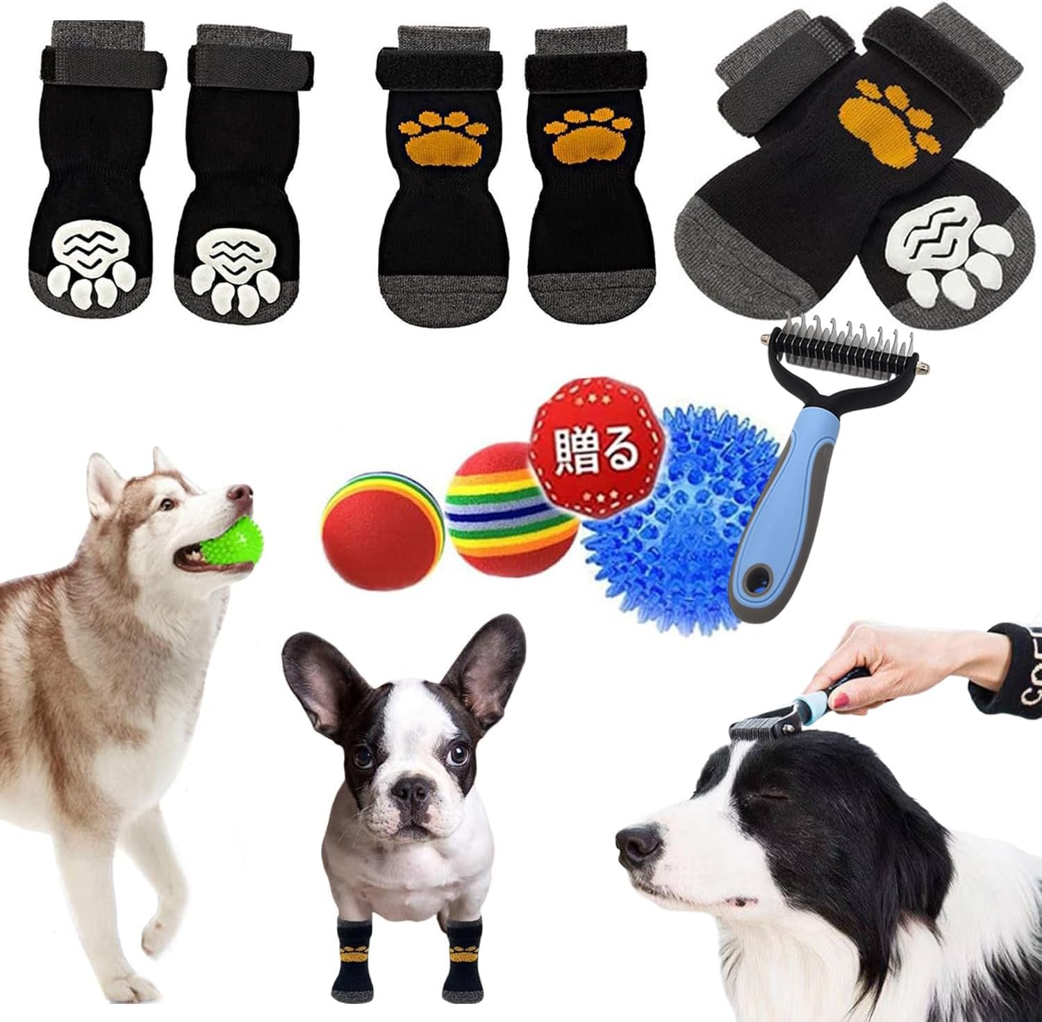 犬靴下 1