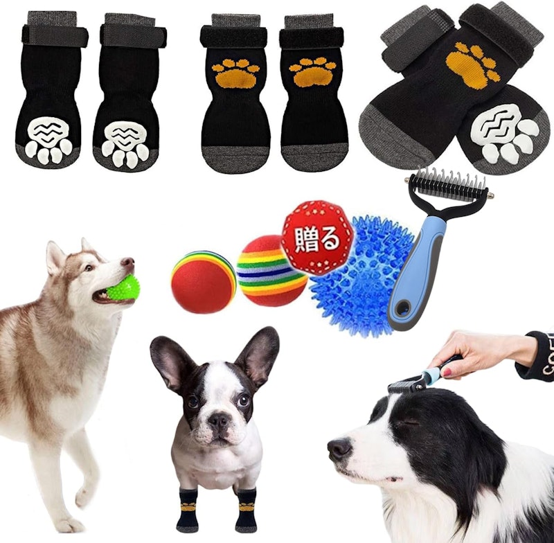 犬靴下 1