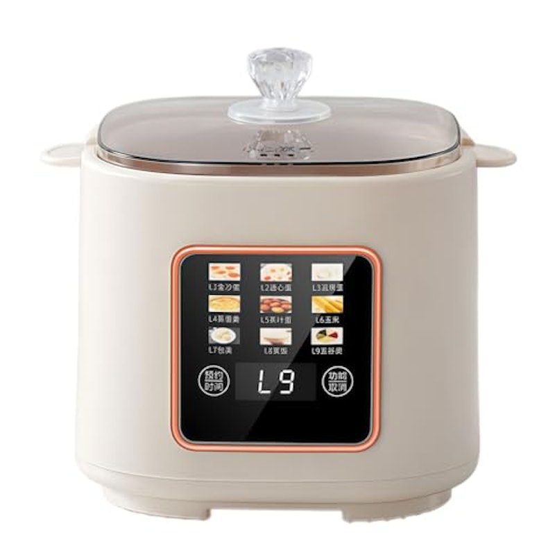 電気蒸し器 1