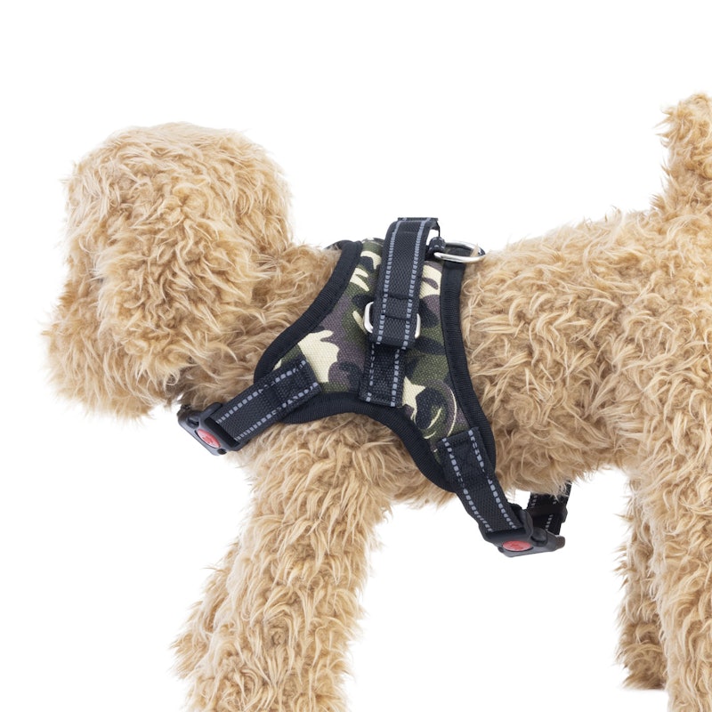犬用ハーネス 5