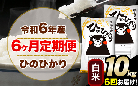 白米 ひのひかり 定期便 1