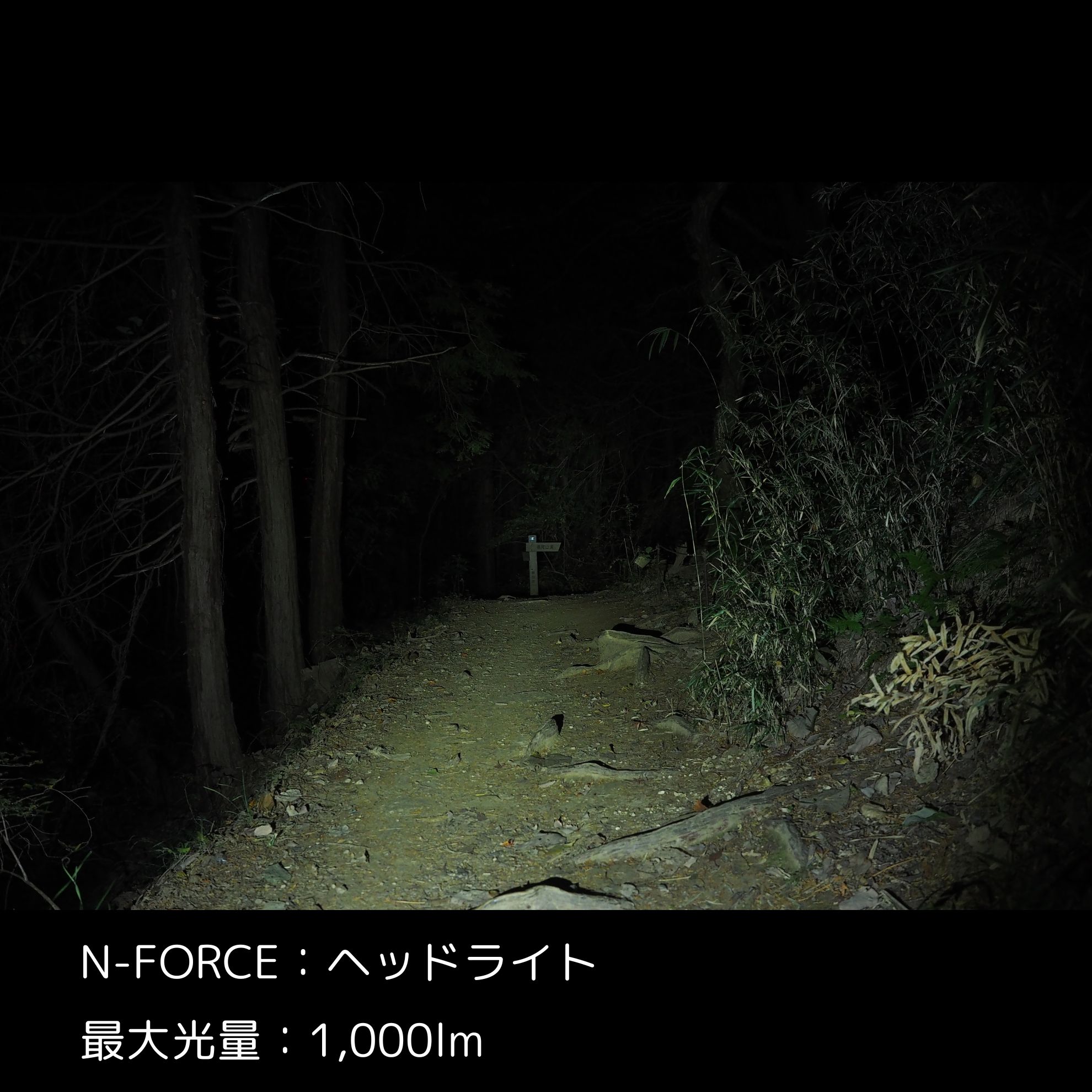ヘッドライト 2