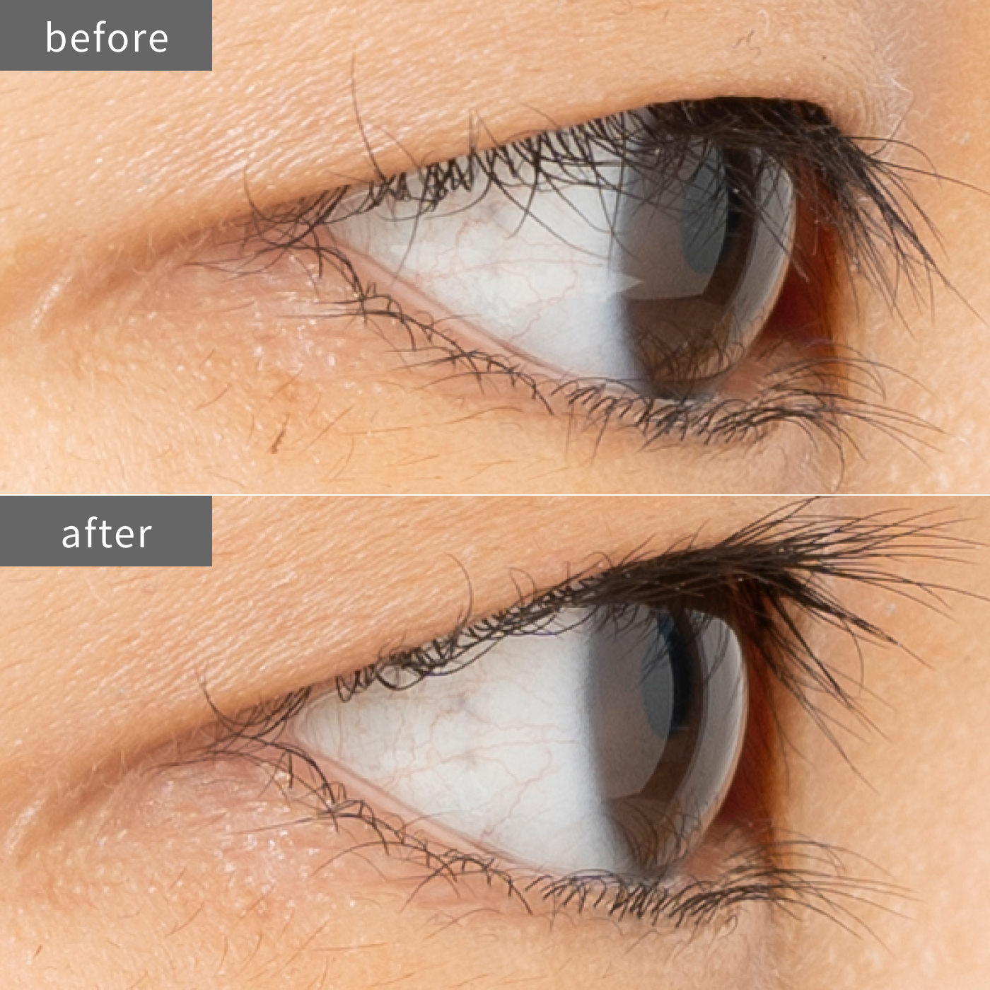 徹底比較 ビューラーのおすすめ人気ランキング33選 年最新版 Mybest