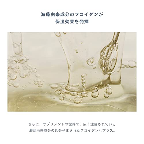 モテラッシュ 6