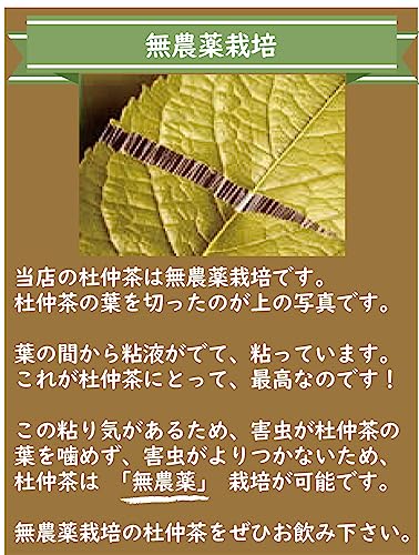 杜仲茶 6