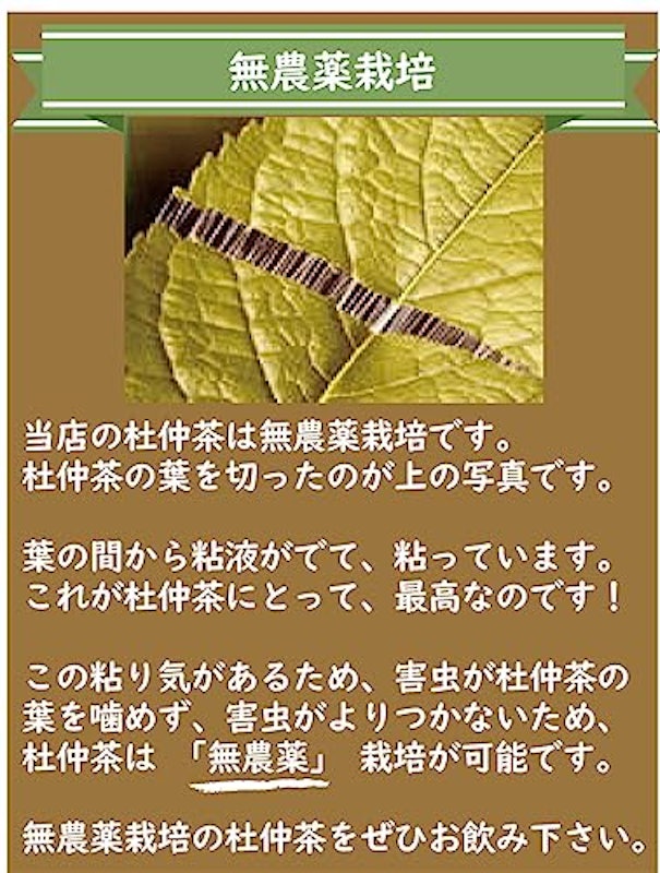 杜仲茶 6