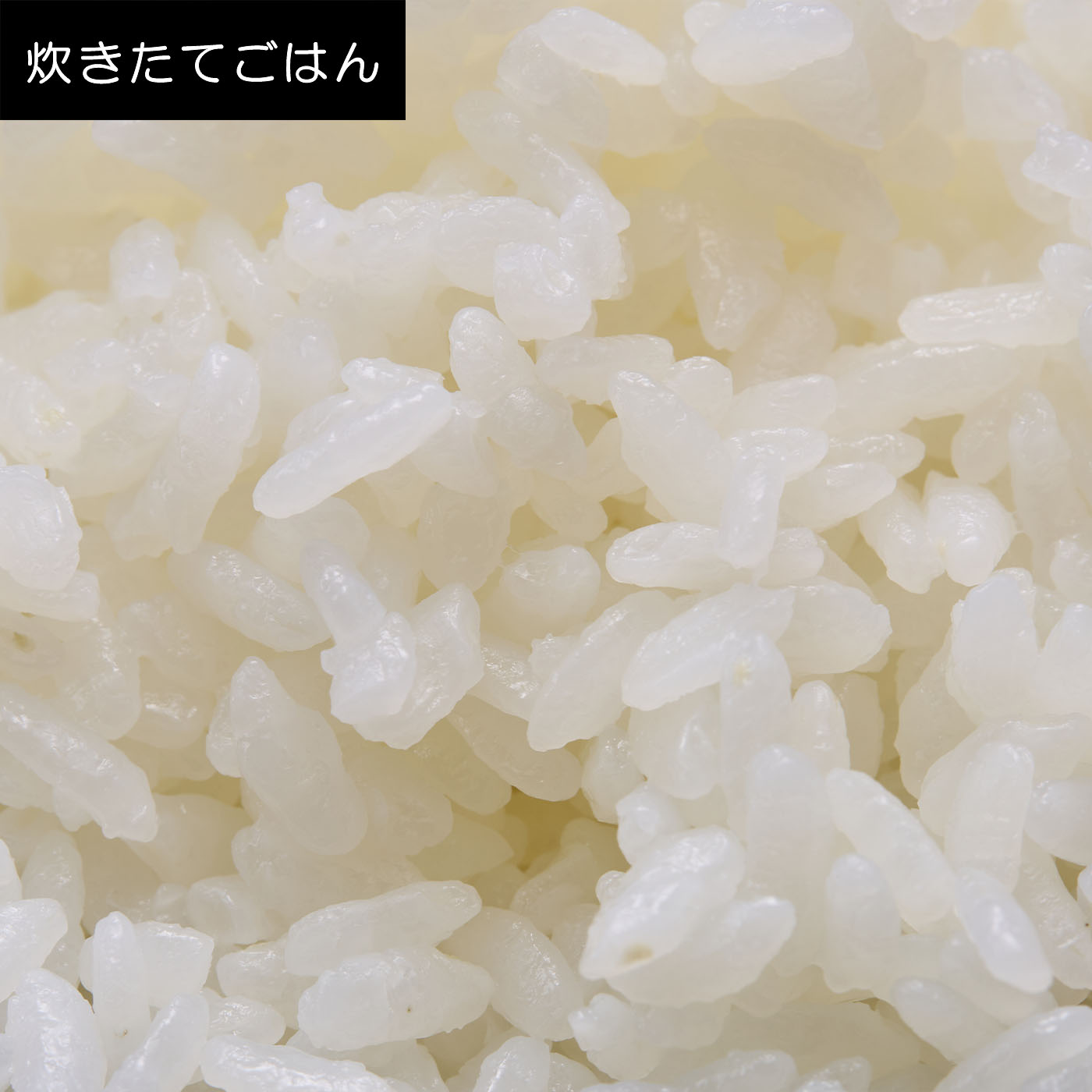 圧力&スチーム ふっくら御膳 9