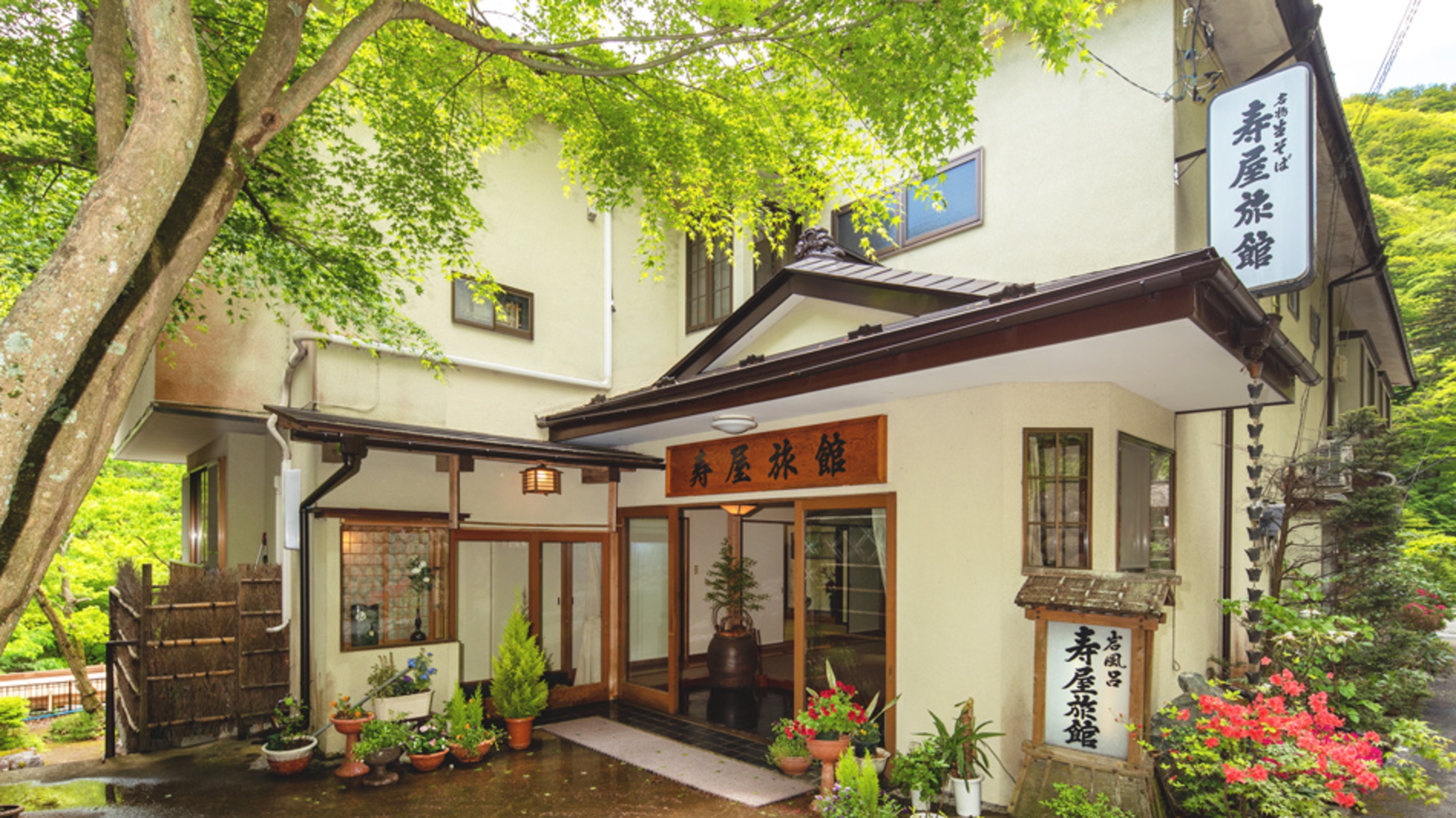 四万温泉 寿屋旅館 1