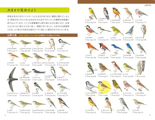 野鳥図鑑 3