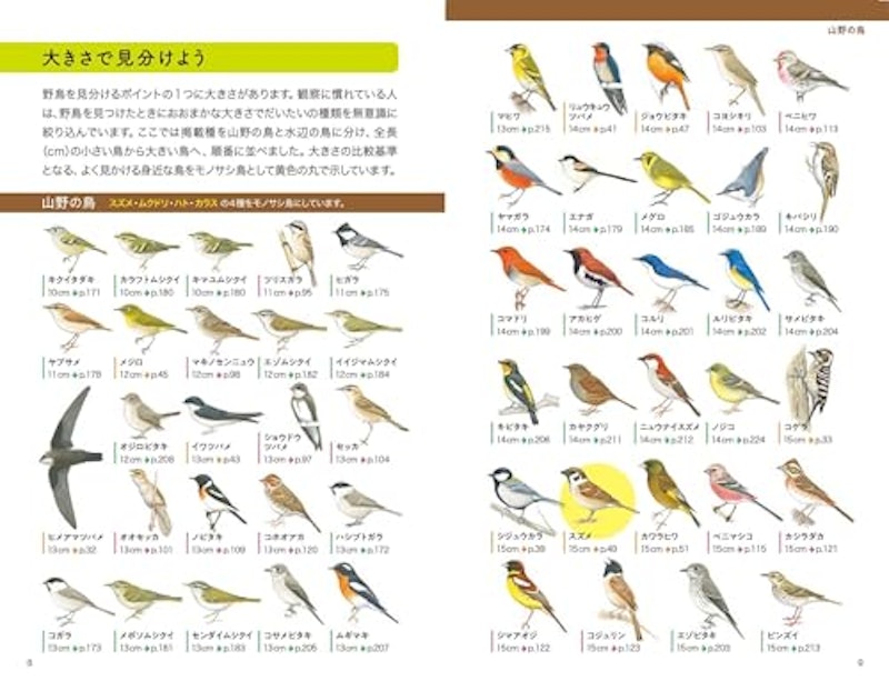 野鳥図鑑 3
