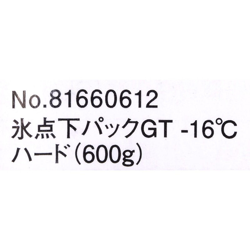 氷点下パックGT-16℃・ハード 5