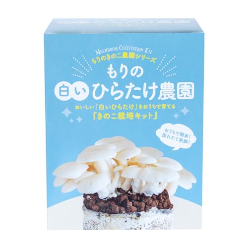 きのこ栽培キット 1