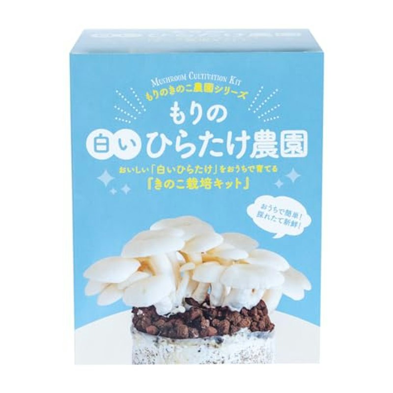 きのこ栽培キット 1