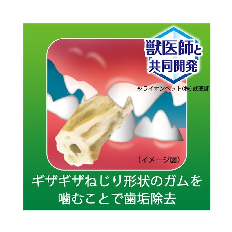 食後の歯みがきガム 5