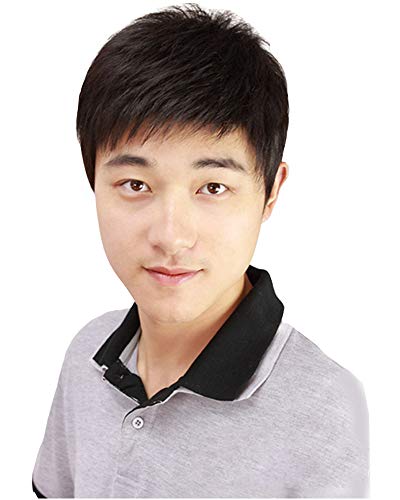 2021年】メンズウィッグのおすすめ人気ランキング10選  mybest