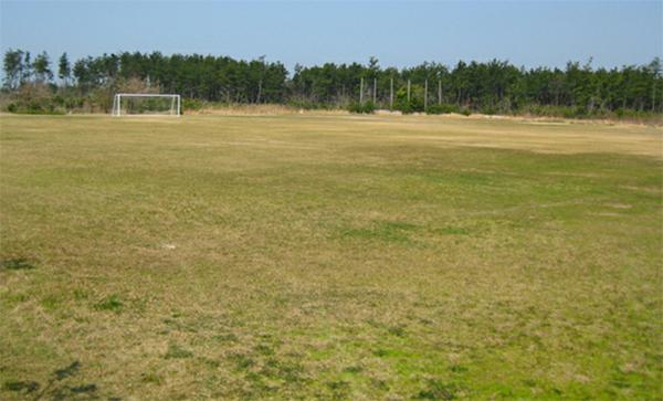 休暇村伊良湖オートキャンプ場 4