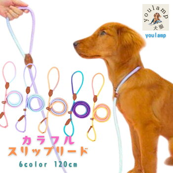 カラフル スリップリード 1