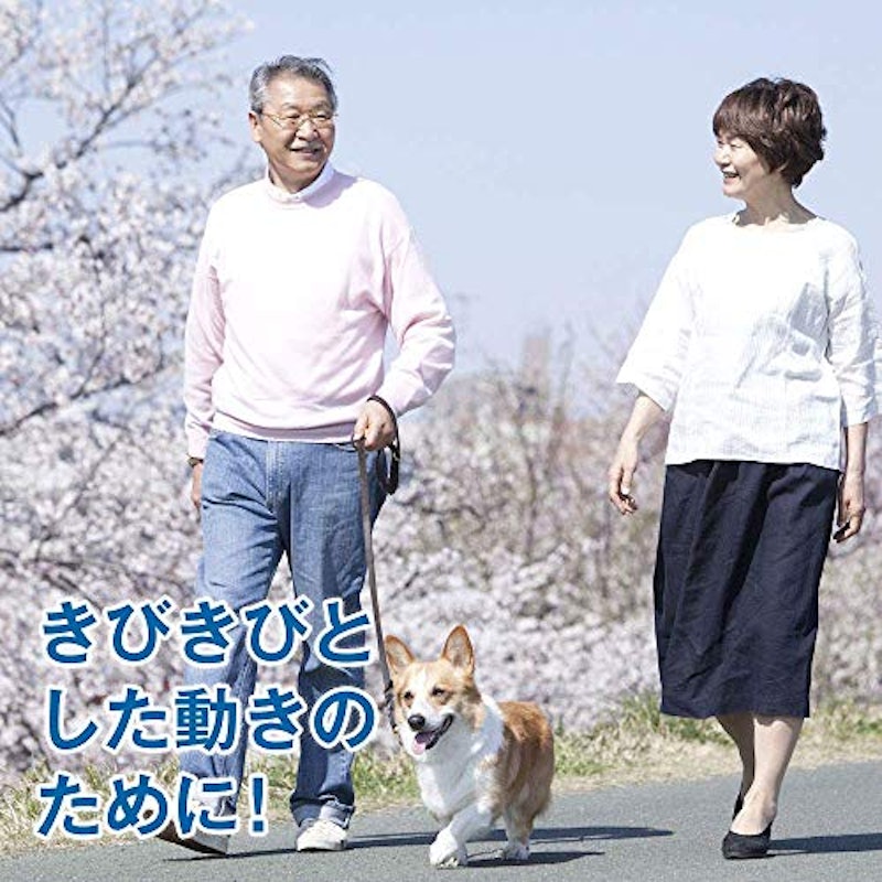 コンドロイチン&グルコサミン ふしぶしの恵 5