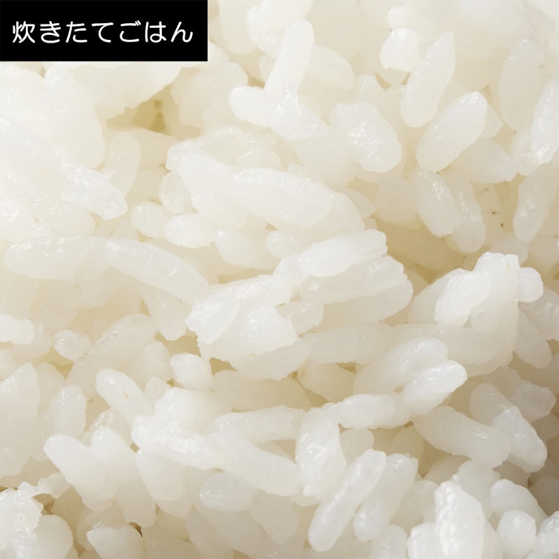 可変圧力IHジャー炊飯器 11