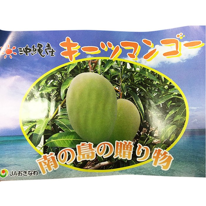 沖縄県産 キーツマンゴー 2