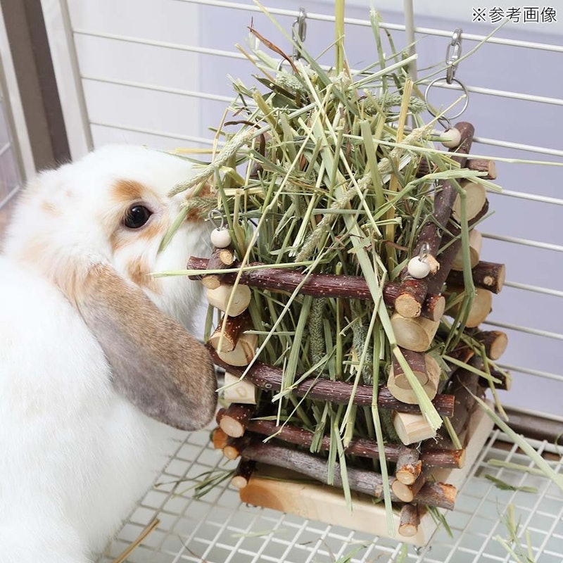 小動物のかじり木チモシーボックス 3