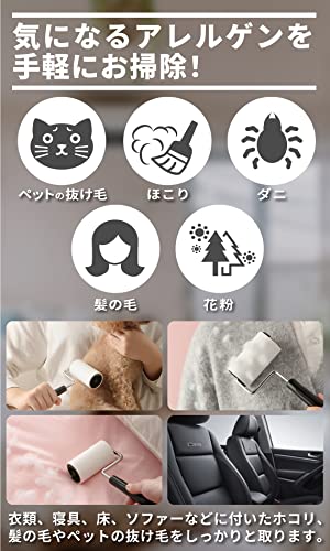 にゃんコロクリーナー 3