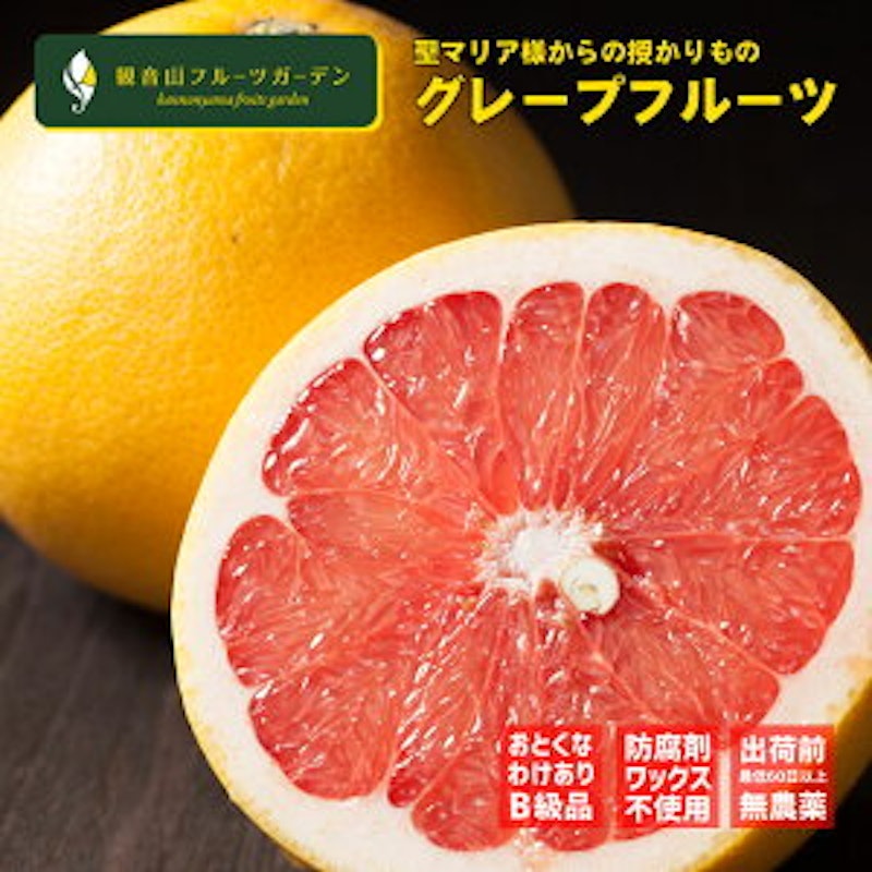 国産グレープフルーツ スタールビー 訳ありえくぼ 1